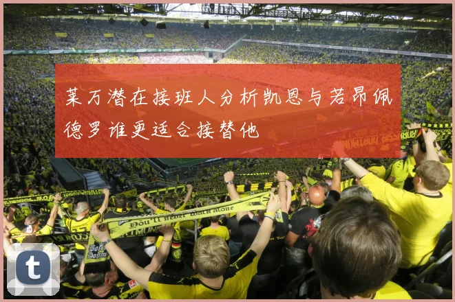 莱万潜在接班人分析凯恩与若昂佩德罗谁更适合接替他